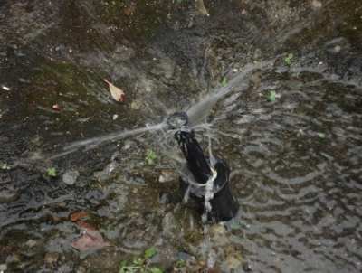 Sprinkler Head Repair Winter Garden FL